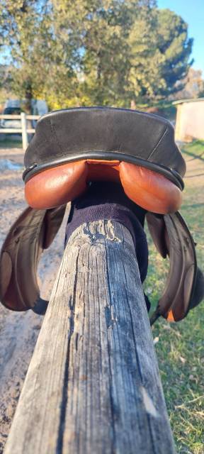 Sella da salto ostacoli Stubben Cavaleria rc 18" - 1996