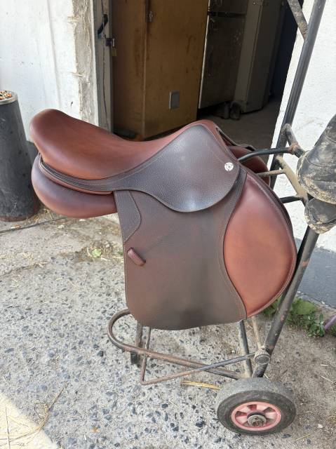 Sella mista CWD  17" - 2021