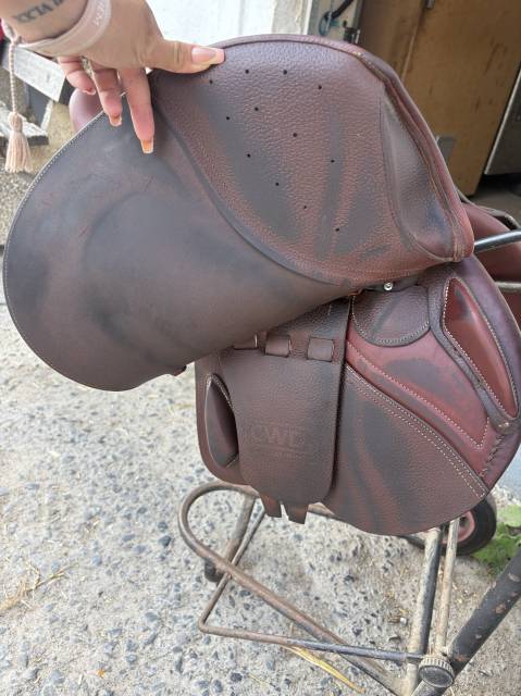 Sella mista CWD  17" - 2021