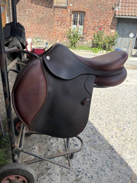 Sella mista CWD  17" - 2021