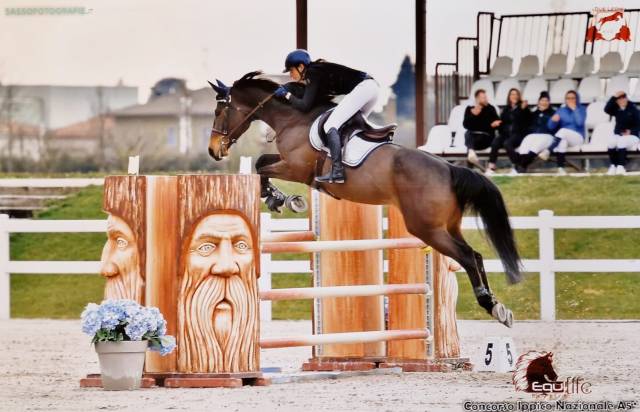 Cavalla 9 anni da Vleut x Corrado I - Vincente in 125 c