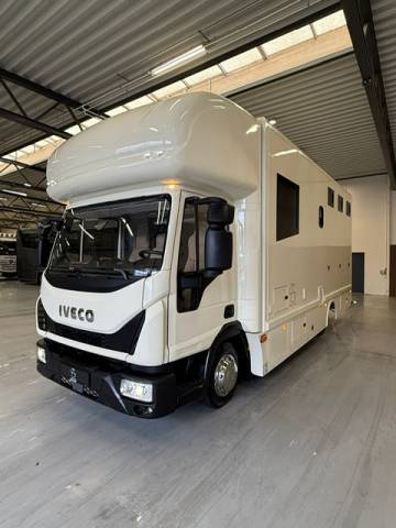 Camion per Cavalli Iveco living 2017 Occasione