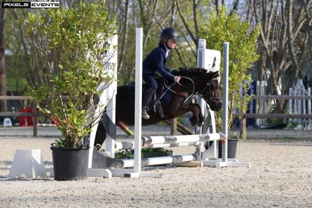 Cavalla Shetland Mezza-Pensione 2011 Nero