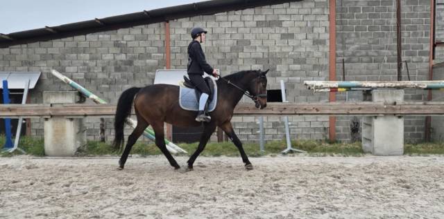 Sella da dressage Devoucoux  18" - 2018