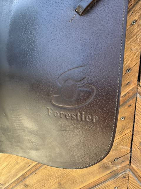 Sella mista Forestier  17" - 2019