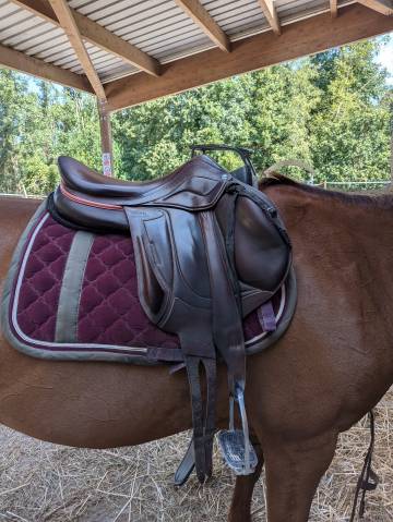 Sella mista Devoucoux  17.5" - 2021