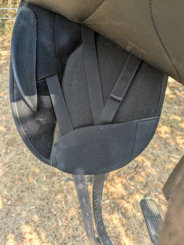 Sella da dressage Wintec  17.5" - 2010