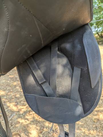 Sella da dressage Wintec  17.5" - 2010