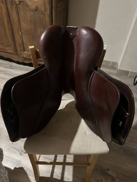 Sella da salto ostacoli CWD  17" - 2019
