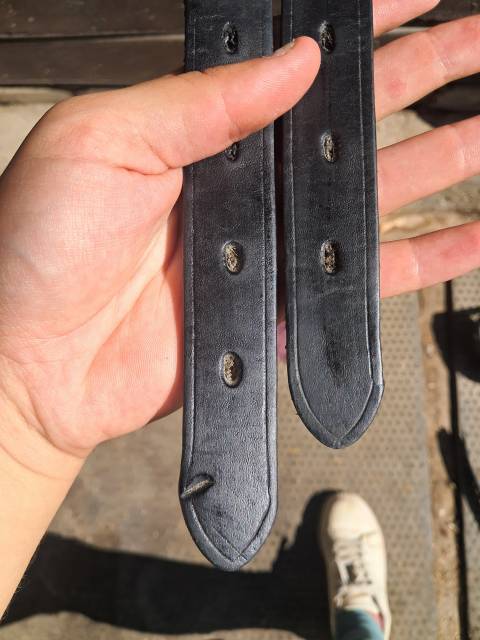 Sella da cross Forestier  17.5" - 2024