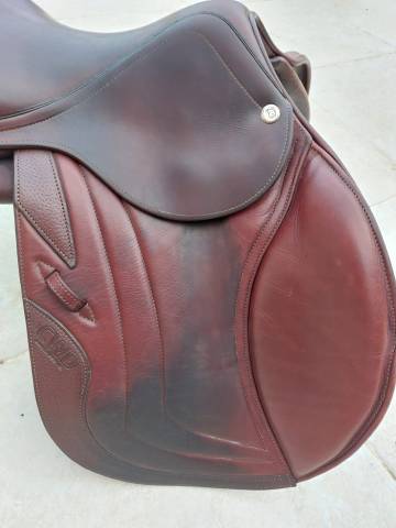 Sella da salto ostacoli CWD  16.5" - 2016