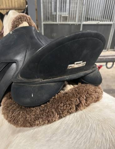 Sella da dressage Wintec Isabell Werth  17.5" - 2000