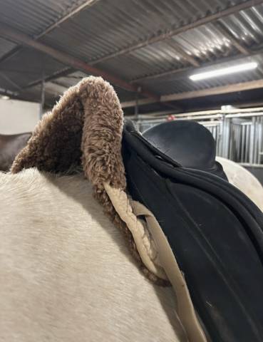 Sella da dressage Wintec Isabell Werth  17.5" - 2000