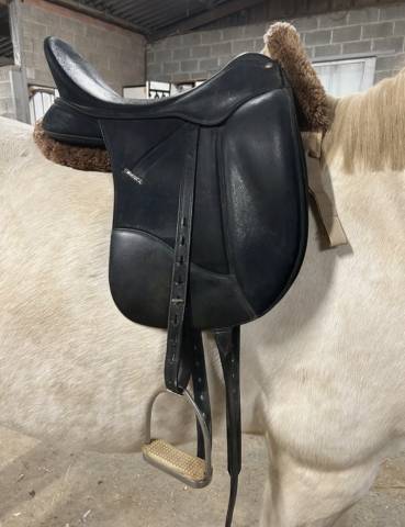 Sella da dressage Wintec Isabell Werth  17.5" - 2000