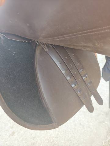 Sella mista Norton  17.5" - 2024