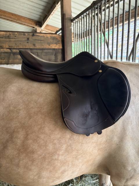 Sella mista Prestige Italia Nortier (Passion) 17" - 2020