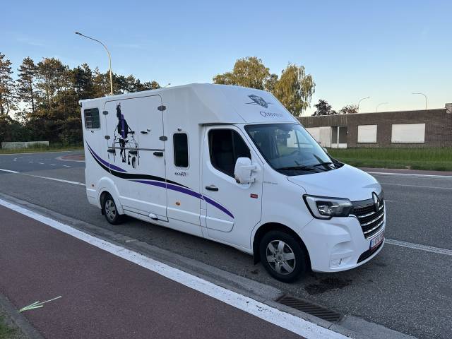 Van per Cavalli Renault Master  2020 Occasione