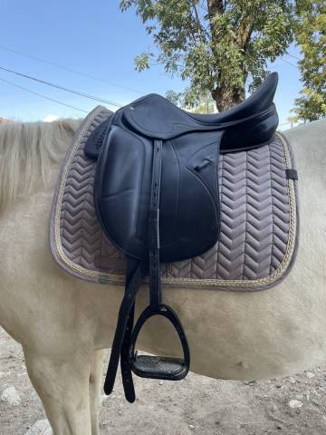 Sella mista Equipe Amerigo Pinerolo  16.5" - 2016