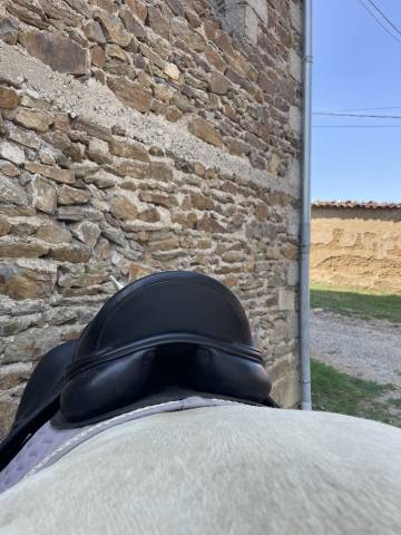Sella mista Equipe Amerigo Pinerolo  16.5" - 2016