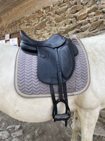 Sella mista Equipe Amerigo Pinerolo  16.5" - 2016