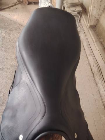 Sella mista  OKLES 17.5" - 2020