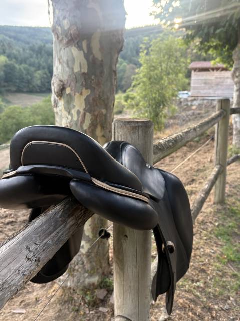 Sella da salto ostacoli CWD  17.5" - 2023