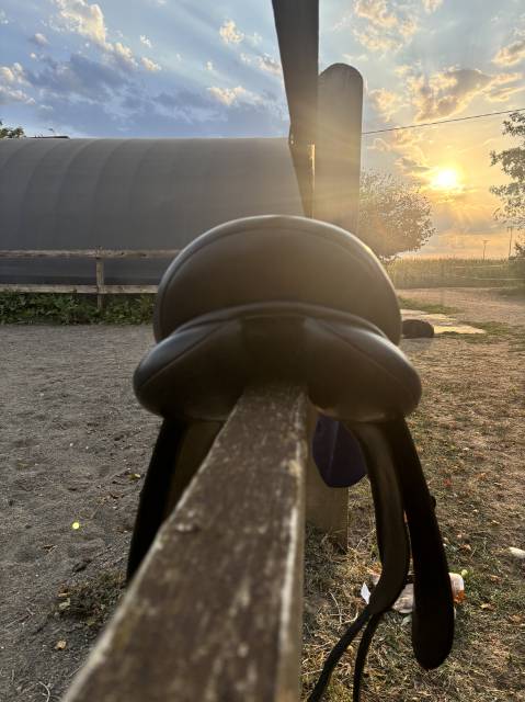 Sella da dressage Eric Thomas  17" - 2018