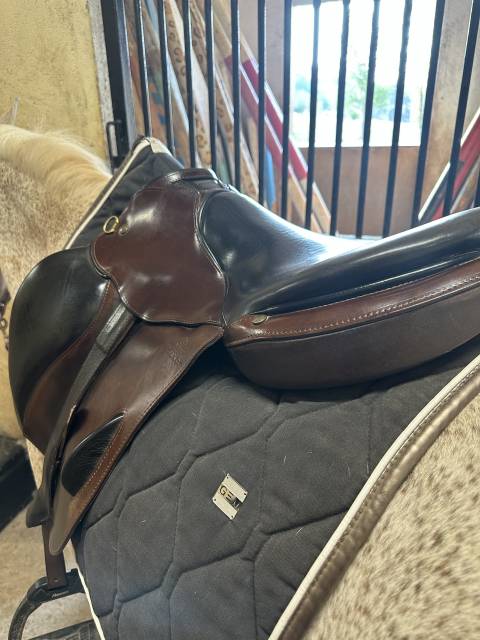 Sella mista Gaston Mercier  17.5" - 2019