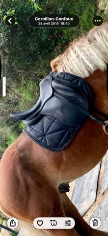 Sella da dressage Childeric  18" - 2019