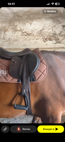 Sella mista Equipe  17.5" - 2022