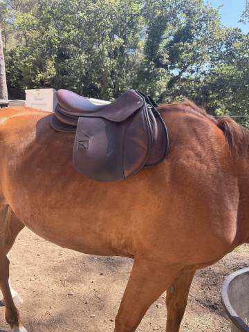 Sella mista Childeric FMP 17.5" - 2023
