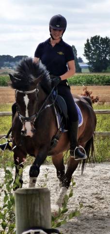 Sella da dressage Equipe  17.5" - 2014