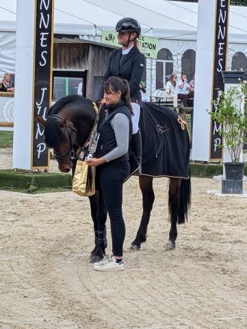 Stallone PFS Pony Francese da Sella In vendita 2019 Baio scuro