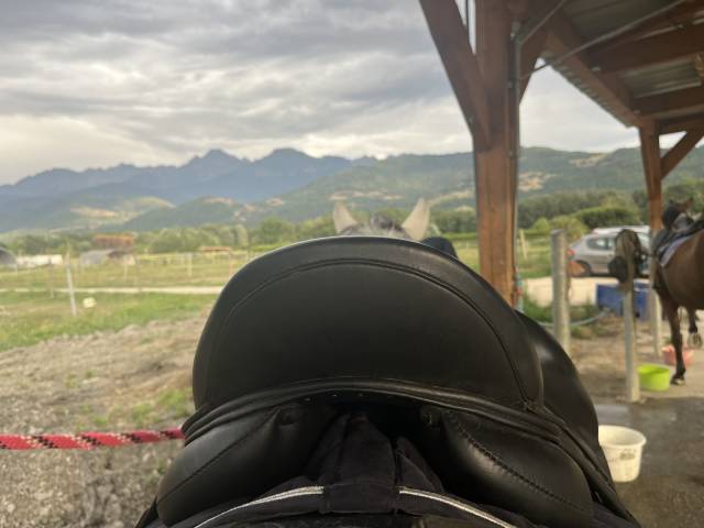 Sella da dressage Antar&egrave;s  16.5" - 2013
