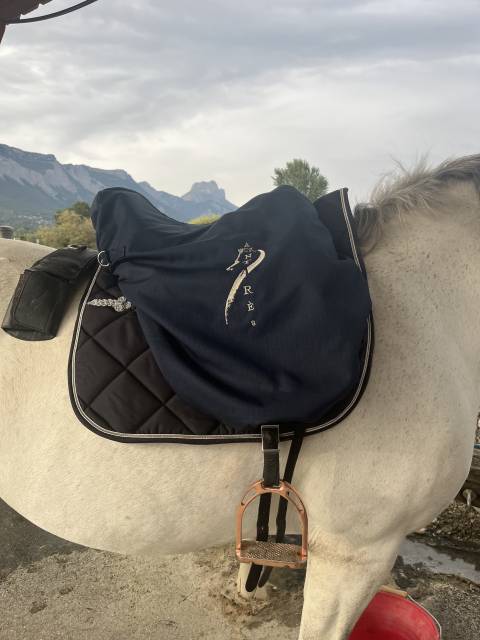 Sella da dressage Antar&egrave;s  16.5" - 2013