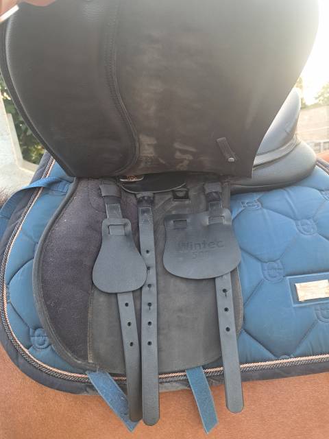 Sella da salto ostacoli Wintec  17" - 2021