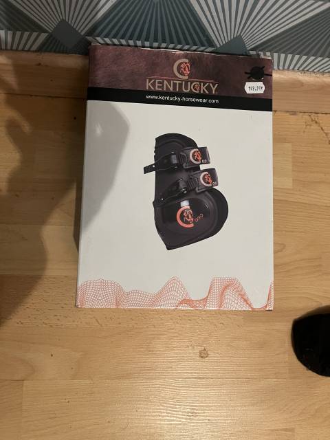  Kentucky Nuovo