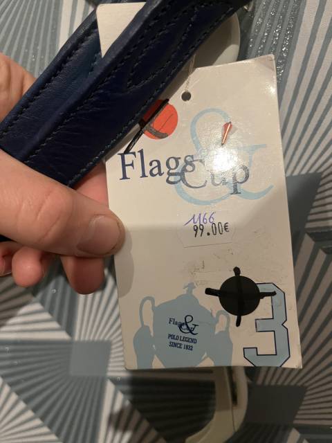 Flags and Cup Nuovo