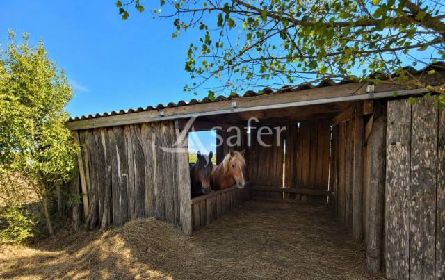 Propriet&agrave; equestre In vendita tarn