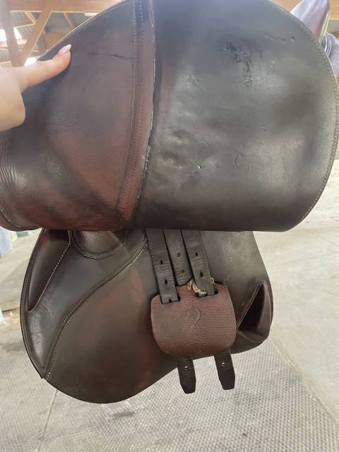 Sella mista Antar&egrave;s  17.5" - 2019