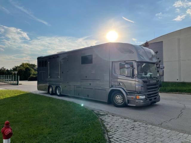Camion per Cavalli Scania SCANIA P360 DICKENHERR POP OUT 2014 Occasione