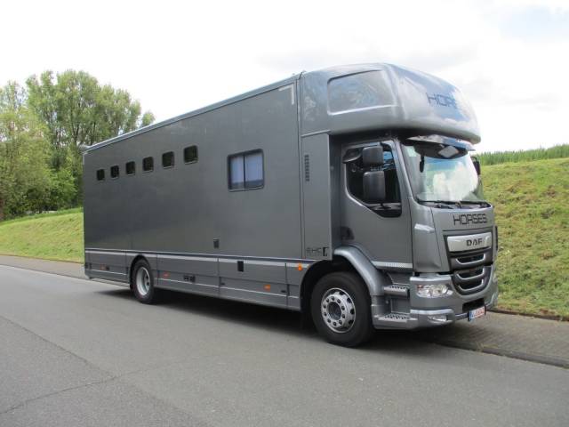 Camion per Cavalli Daf DAF LF 310 EHC 2026 Nuovo