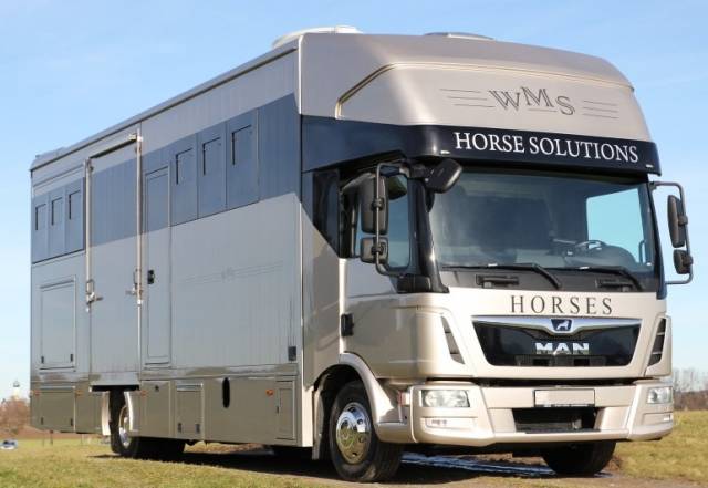 Camion per Cavalli Man MAN TGL 12.250 WMS POP OUT 2014 Occasione