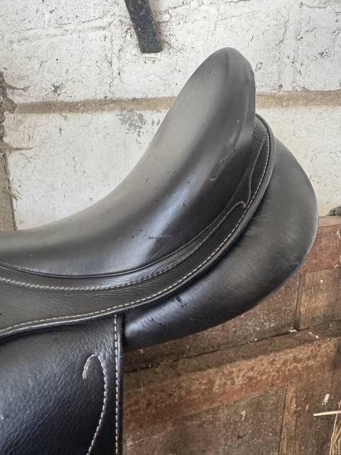 Altra sella   18" - 2013