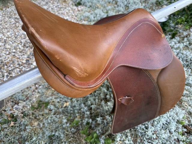 Sella mista  Maroc  17.5" - 2024