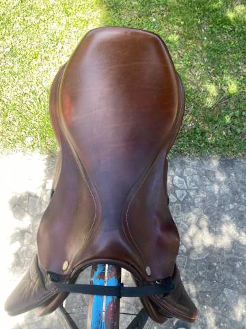 sella equiline