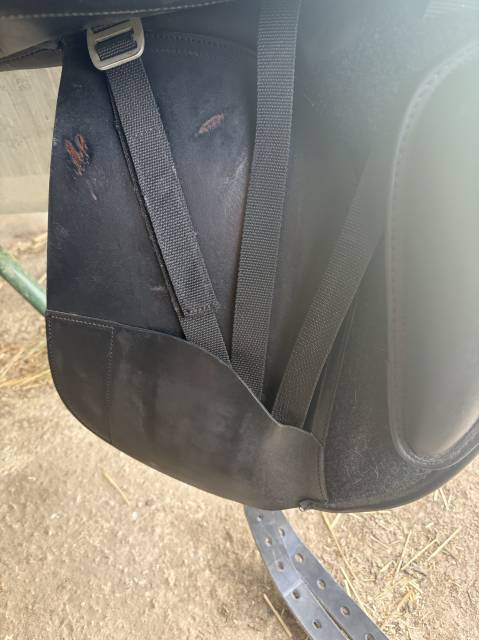 Sella da dressage   17.5" - 2024