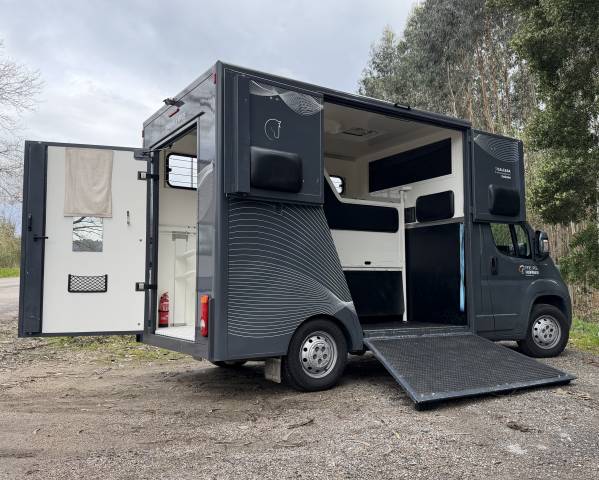 Van per Cavalli Citroen Junoer 2018 Occasione