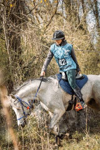 Sella da endurance  HBA 17" - 2023