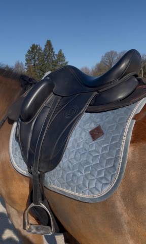 Sella da dressage Forestier  16" - 2024